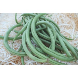 Bohnen grün